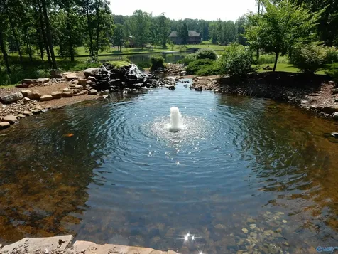 17 Winter Walk Way Huntsville AL 35803