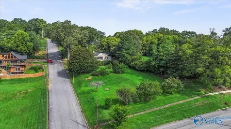 428 Hill Avenue Guntersville AL 35976