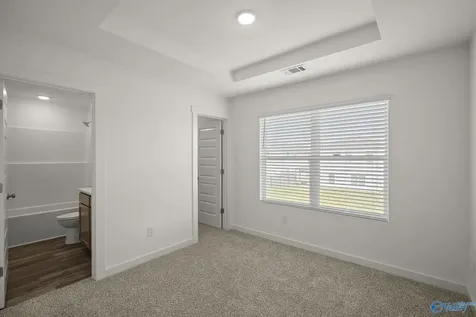12072 Chilly Drive Madison AL 35756