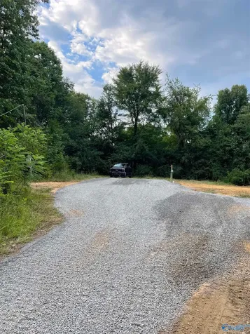 321 County Road 246 Cullman AL 35057