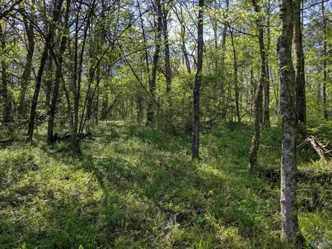 05 Old Stage Road Ardmore TN 38449