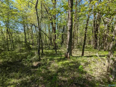05 Old Stage Road Ardmore TN 38449