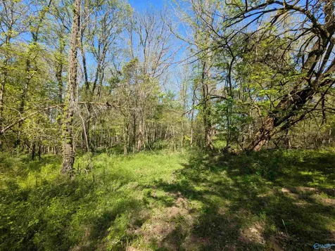 05 Old Stage Road Ardmore TN 38449