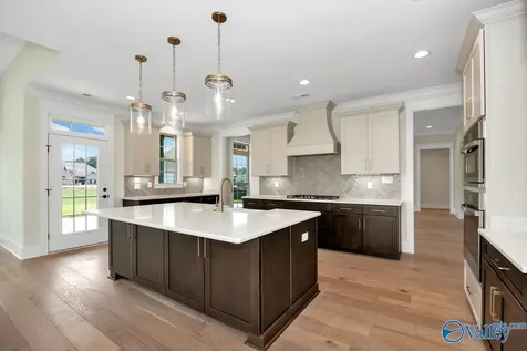 203 Blairwood Court Meridianville AL 35759