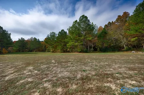 700 Kincaid Road Minor Hill TN 38473