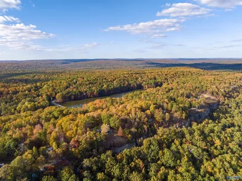1810 County Road 103 Mentone AL 35984