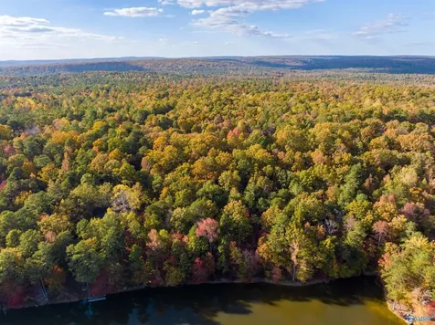 1810 County Road 103 Mentone AL 35984