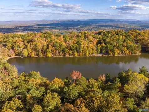 1810 County Road 103 Mentone AL 35984