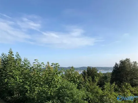 5000 Launch Drive Guntersville AL 35976