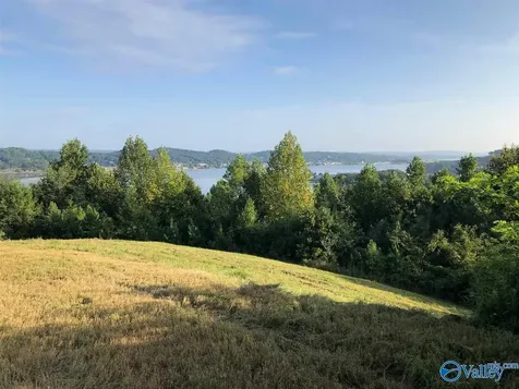 5000 Launch Drive Guntersville AL 35976