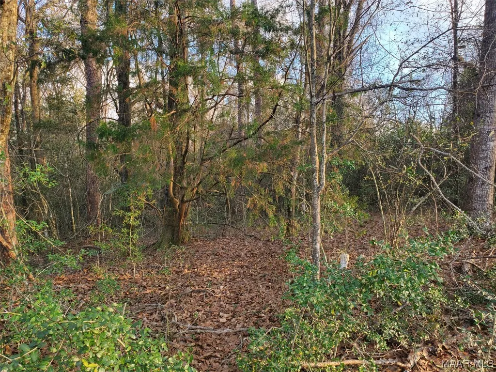 0 Andrews Avenue Ozark AL 36360