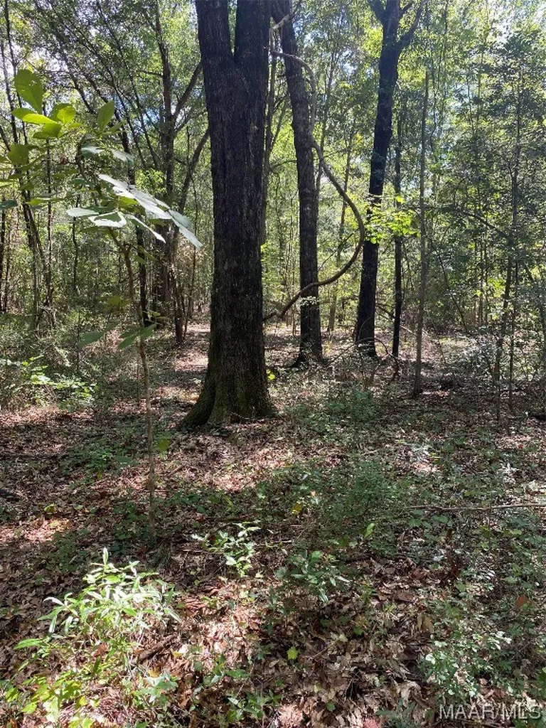 1744 County Road 57 Road Prattville AL 36067