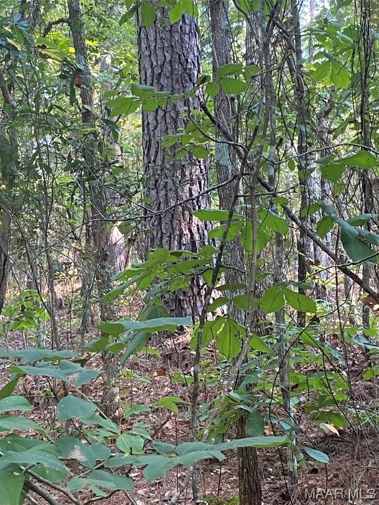 1744 County Road 57 Road Prattville AL 36067