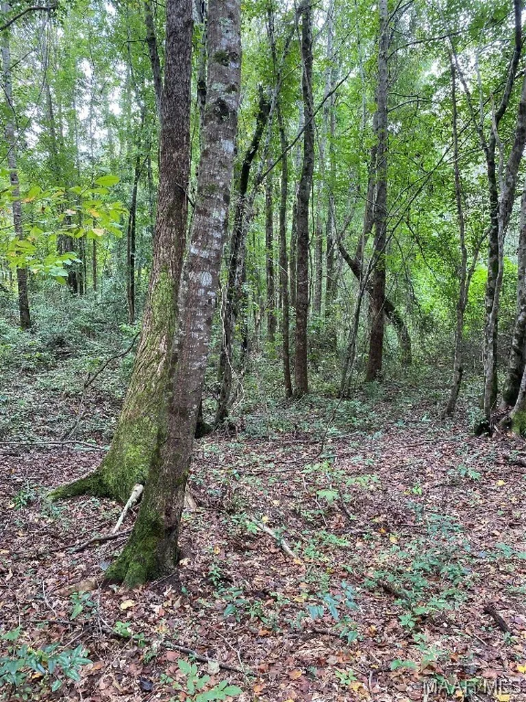 1744 County Road 57 Road Prattville AL 36067