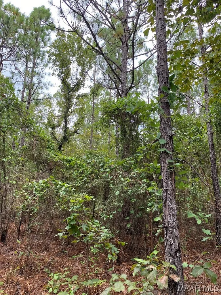 1744 County Road 57 Road Prattville AL 36067