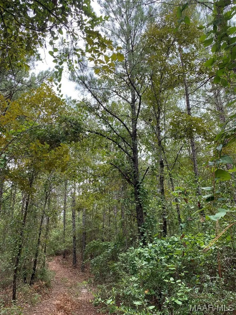 1744 County Road 57 Road Prattville AL 36067