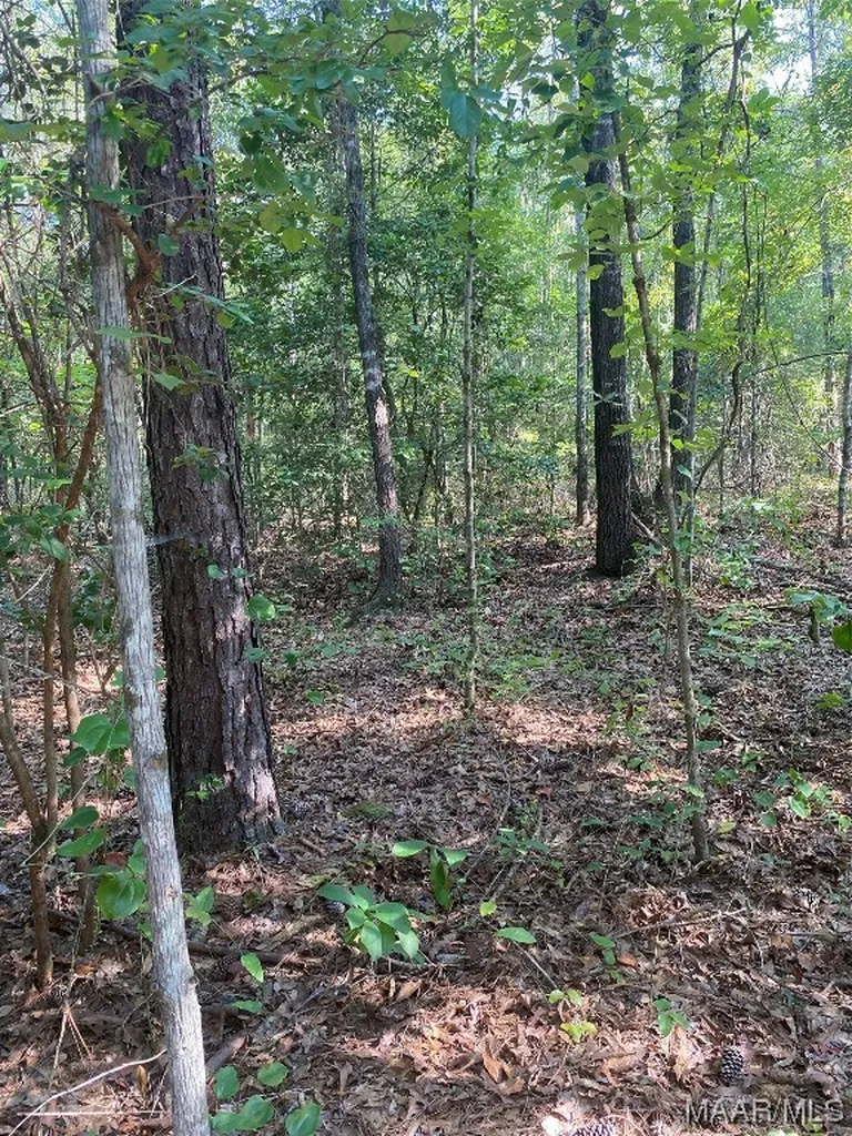 1744 County Road 57 Road Prattville AL 36067