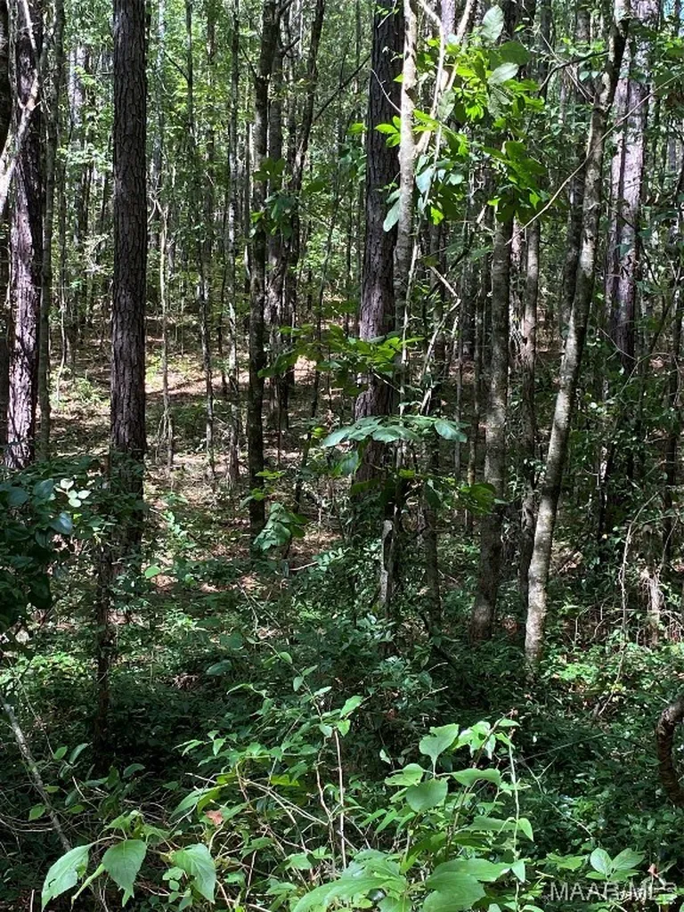 1744 County Road 57 Road Prattville AL 36067