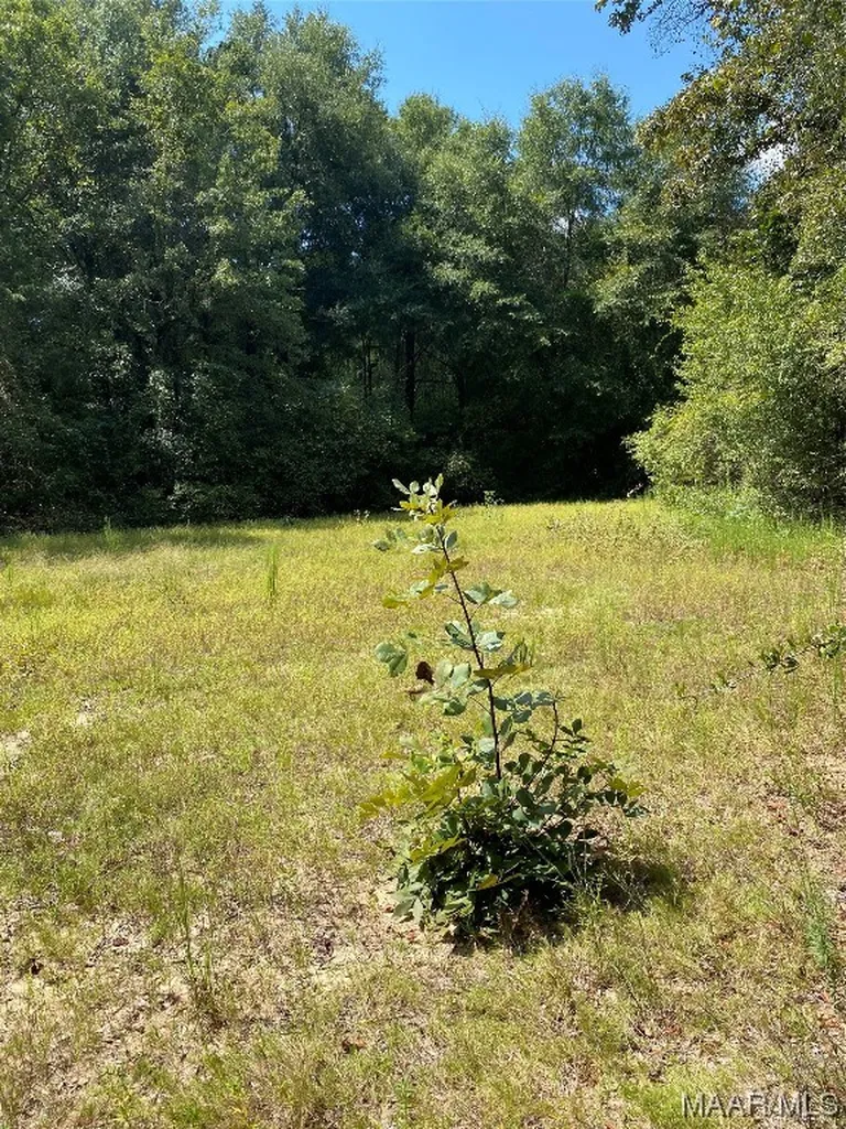 1744 County Road 57 Road Prattville AL 36067