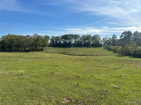 0 S Main Street Brundidge AL 36010