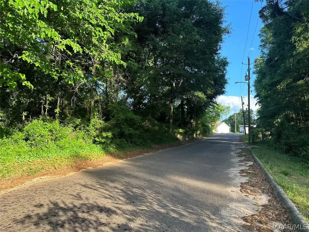 314 Mildred Street Ozark AL 36360