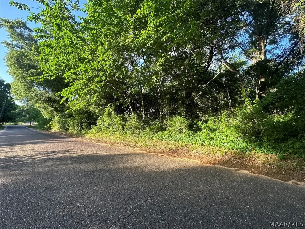 314 Mildred Street Ozark AL 36360