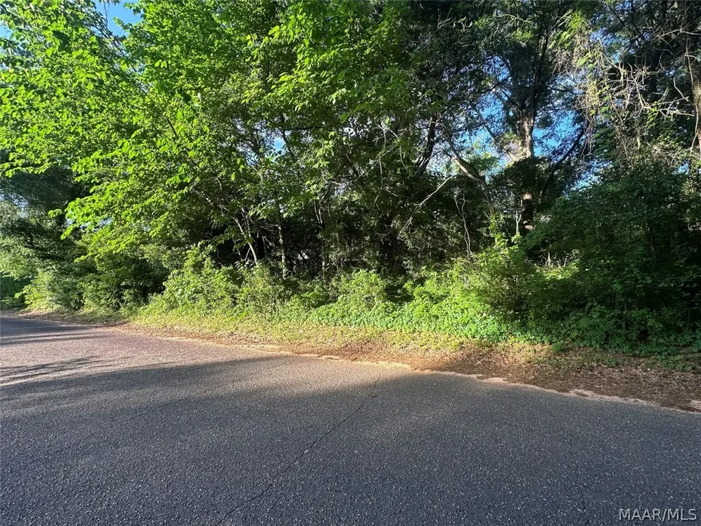 314 Mildred Street Ozark AL 36360