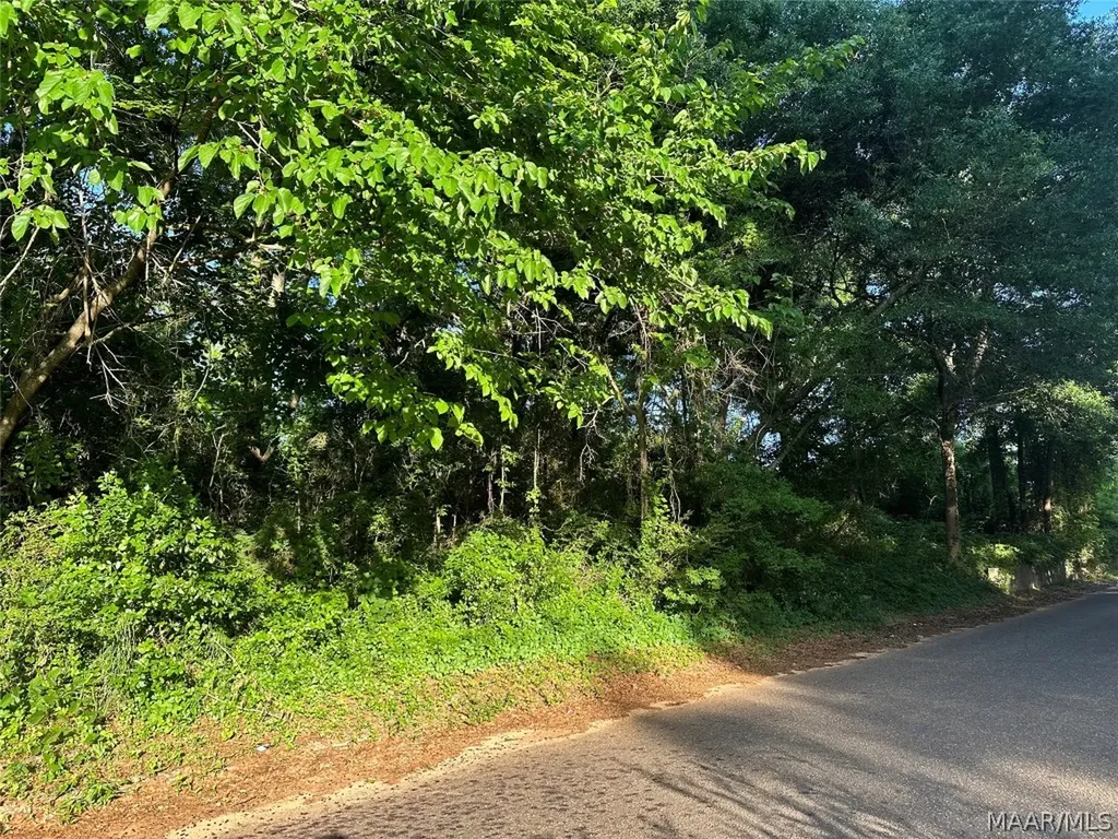 314 Mildred Street Ozark AL 36360