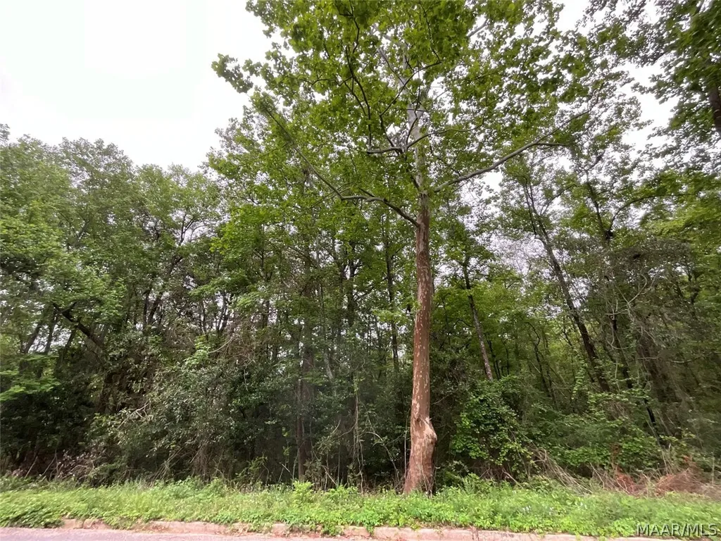 206 Yellowleaf Drive Enterprise AL 36330