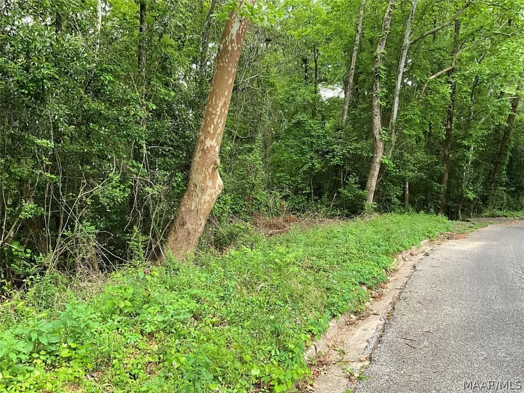 206 Yellowleaf Drive Enterprise AL 36330