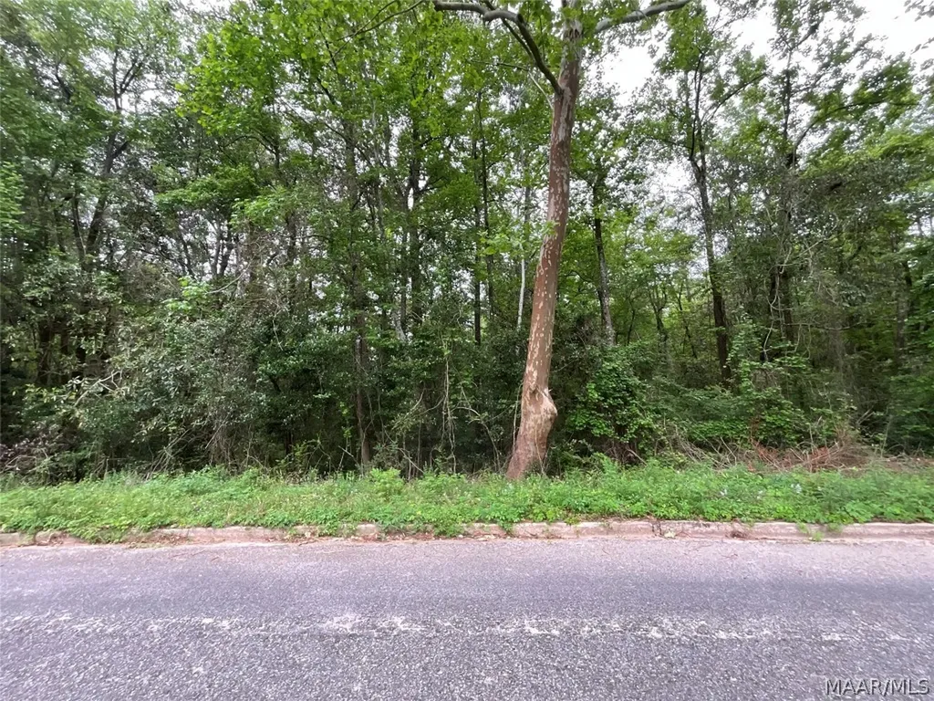 206 Yellowleaf Drive Enterprise AL 36330