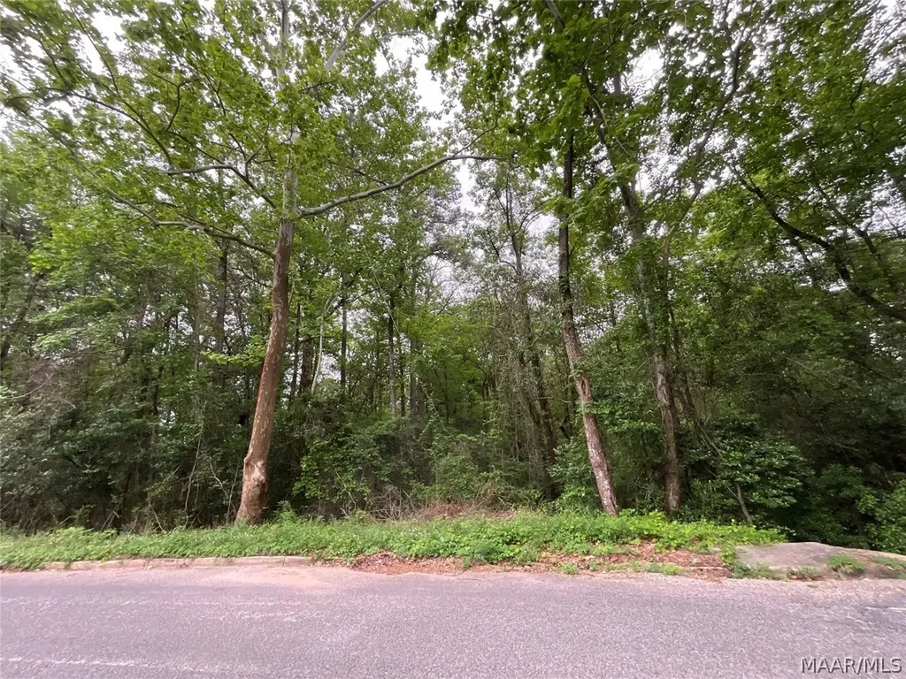 206 Yellowleaf Drive Enterprise AL 36330