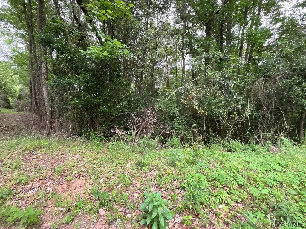 206 Yellowleaf Drive Enterprise AL 36330