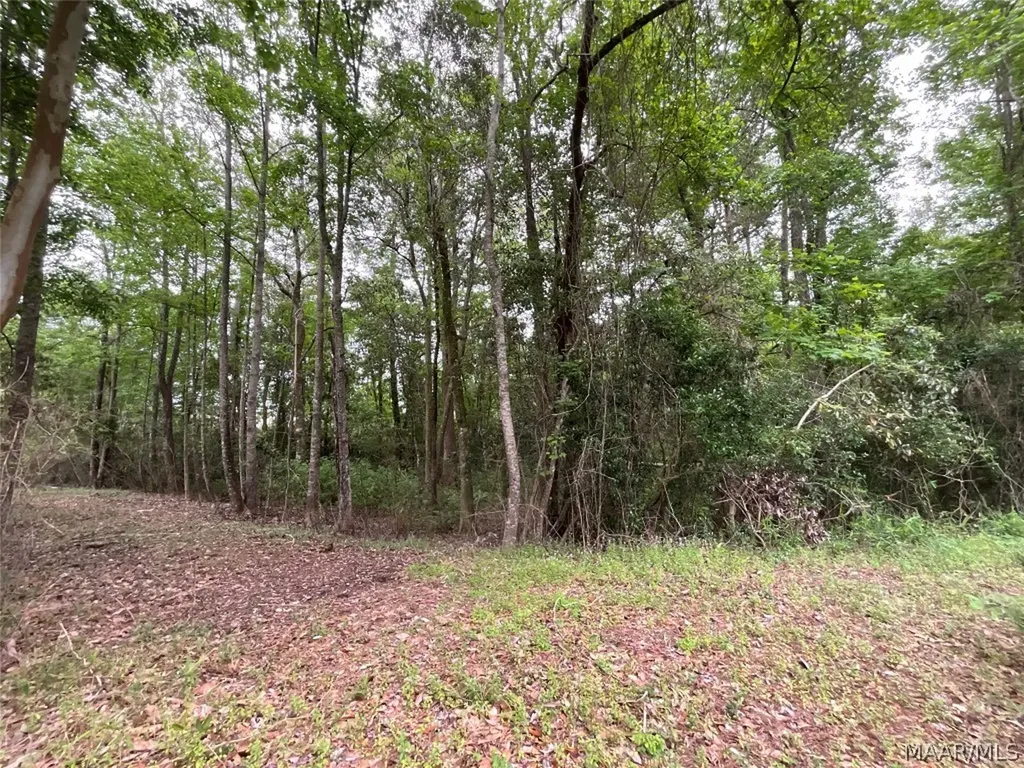 206 Yellowleaf Drive Enterprise AL 36330