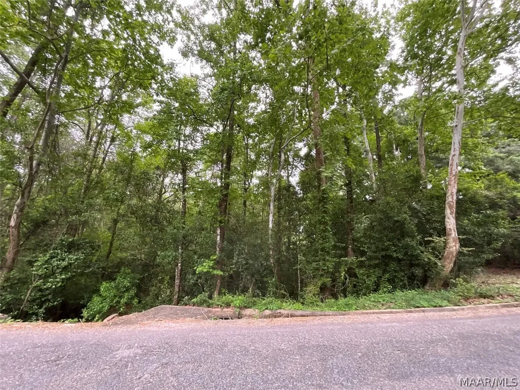 206 Yellowleaf Drive Enterprise AL 36330