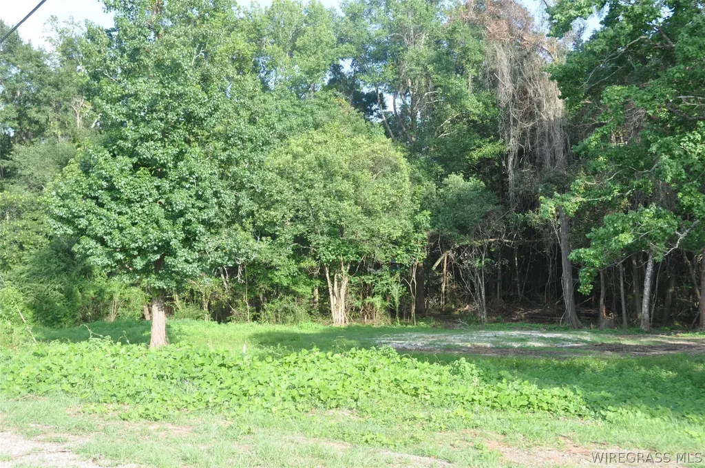 110 Stroud Avenue Elba AL 36323