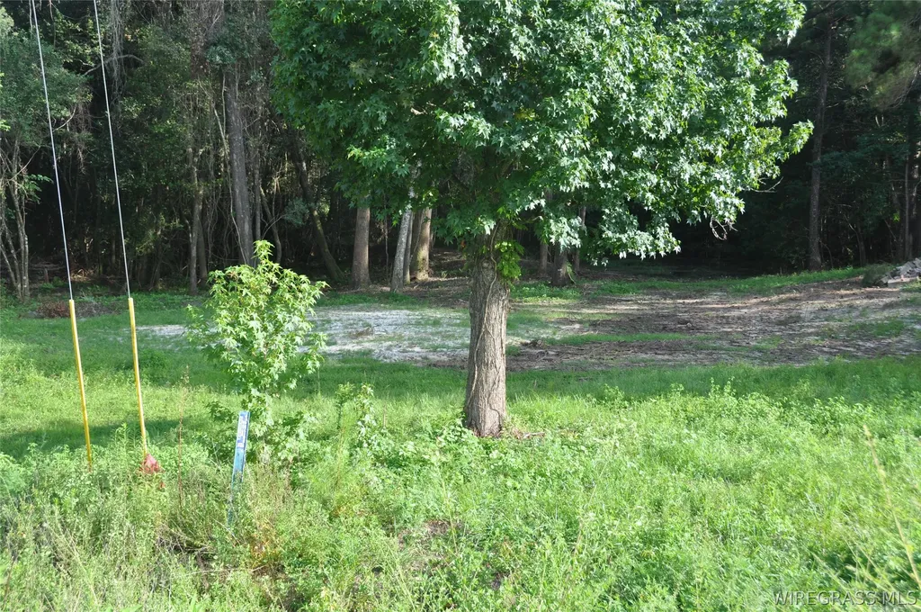 110 Stroud Avenue Elba AL 36323