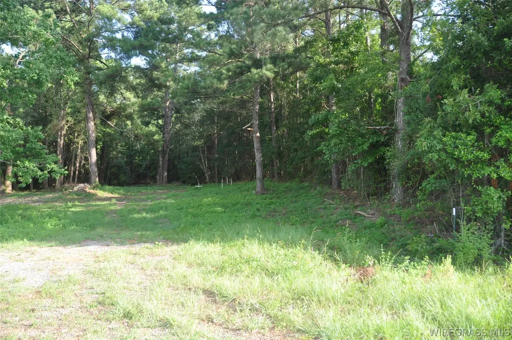 110 Stroud Avenue Elba AL 36323