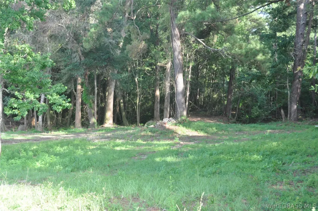 110 Stroud Avenue Elba AL 36323