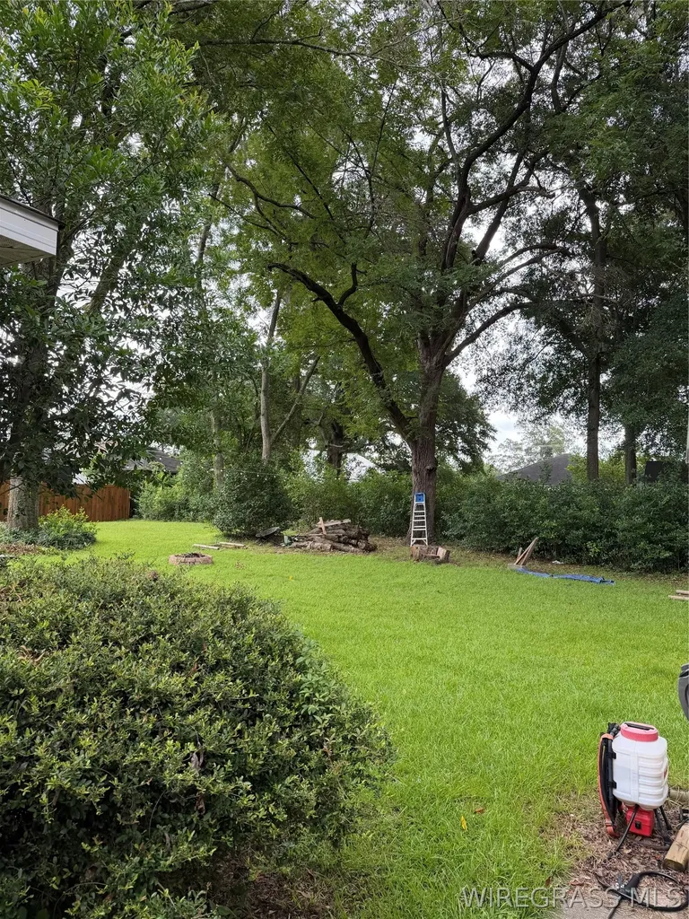 405 W Lee Street Enterprise AL 36330