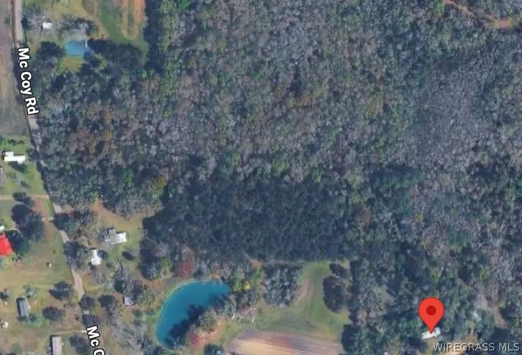 229 Barnes Road Cottonwood AL 36320