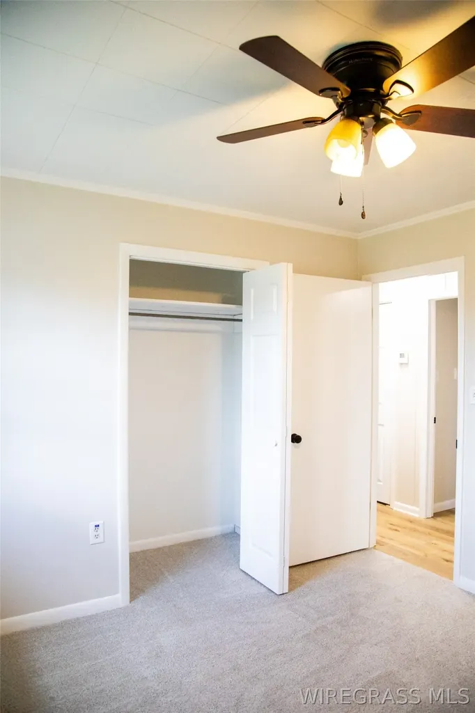 702 W Jernigan Avenue Geneva AL 36340