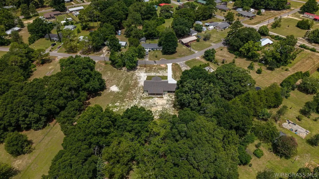 1007 W Deere Street Geneva AL 36340