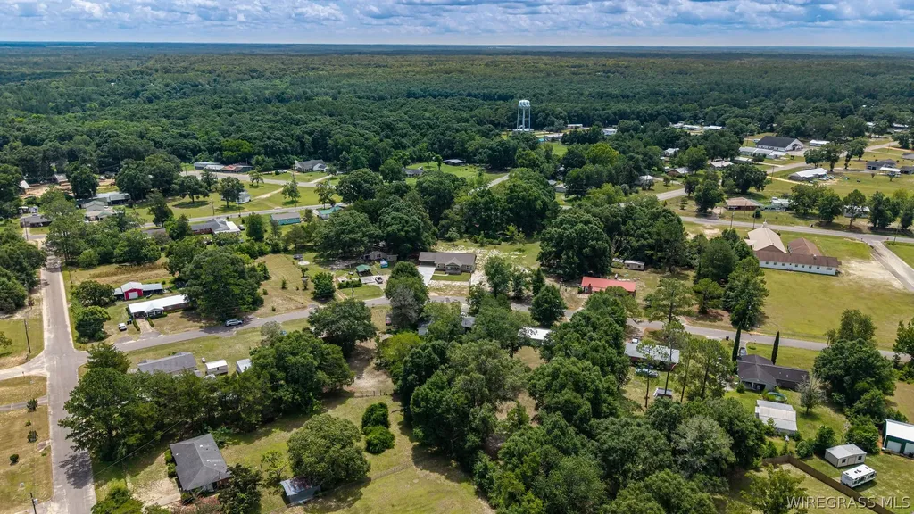 1007 W Deere Street Geneva AL 36340