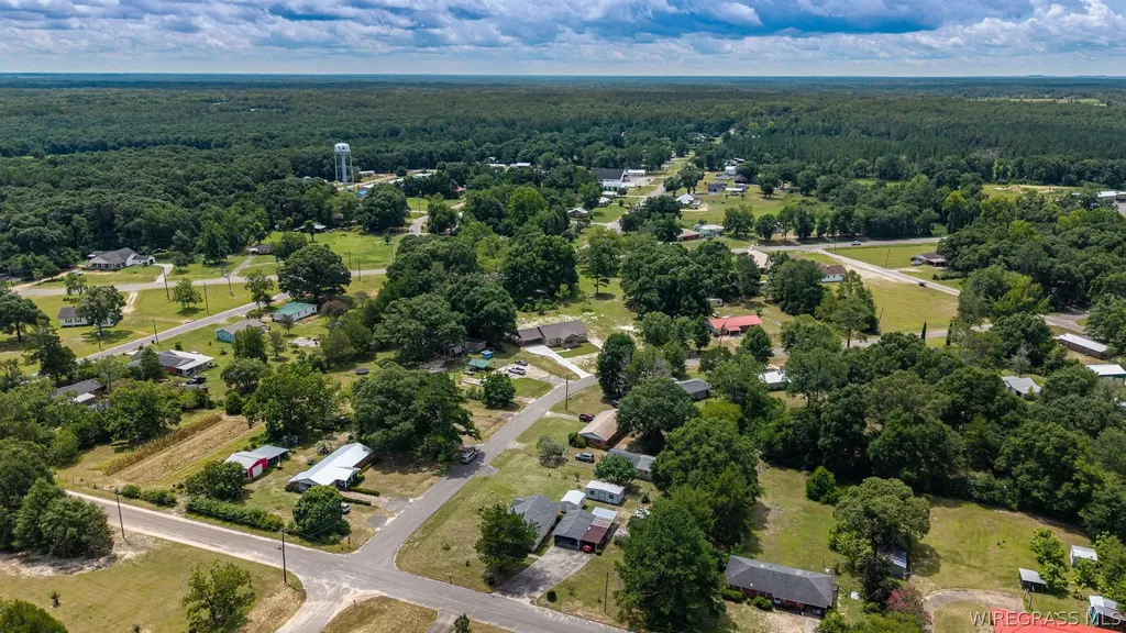 1007 W Deere Street Geneva AL 36340
