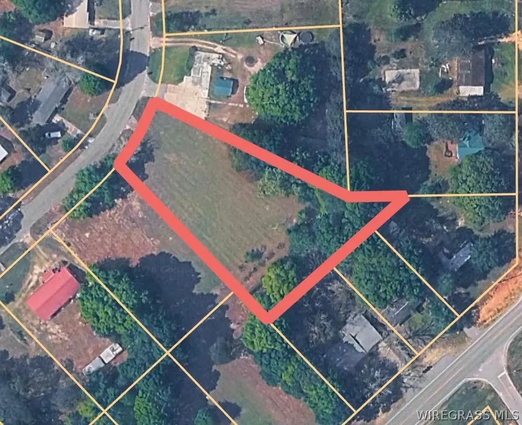1007 W Deere Street Geneva AL 36340