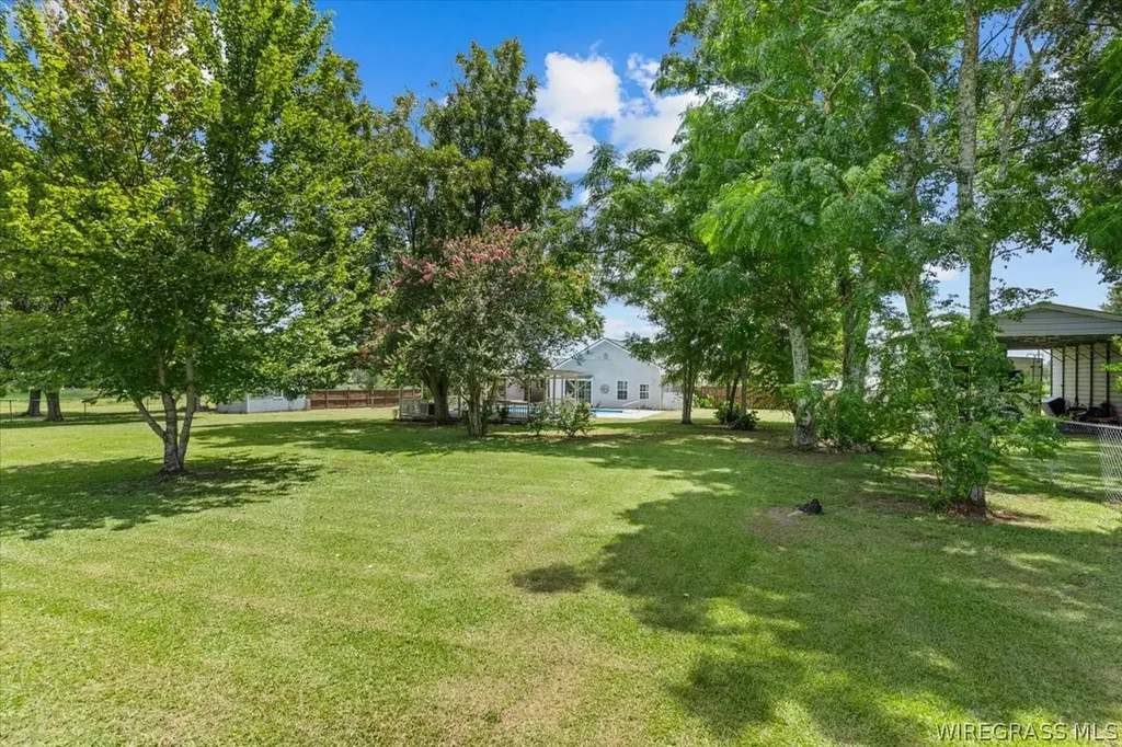 132 County Road 552 New Brockton AL 36351