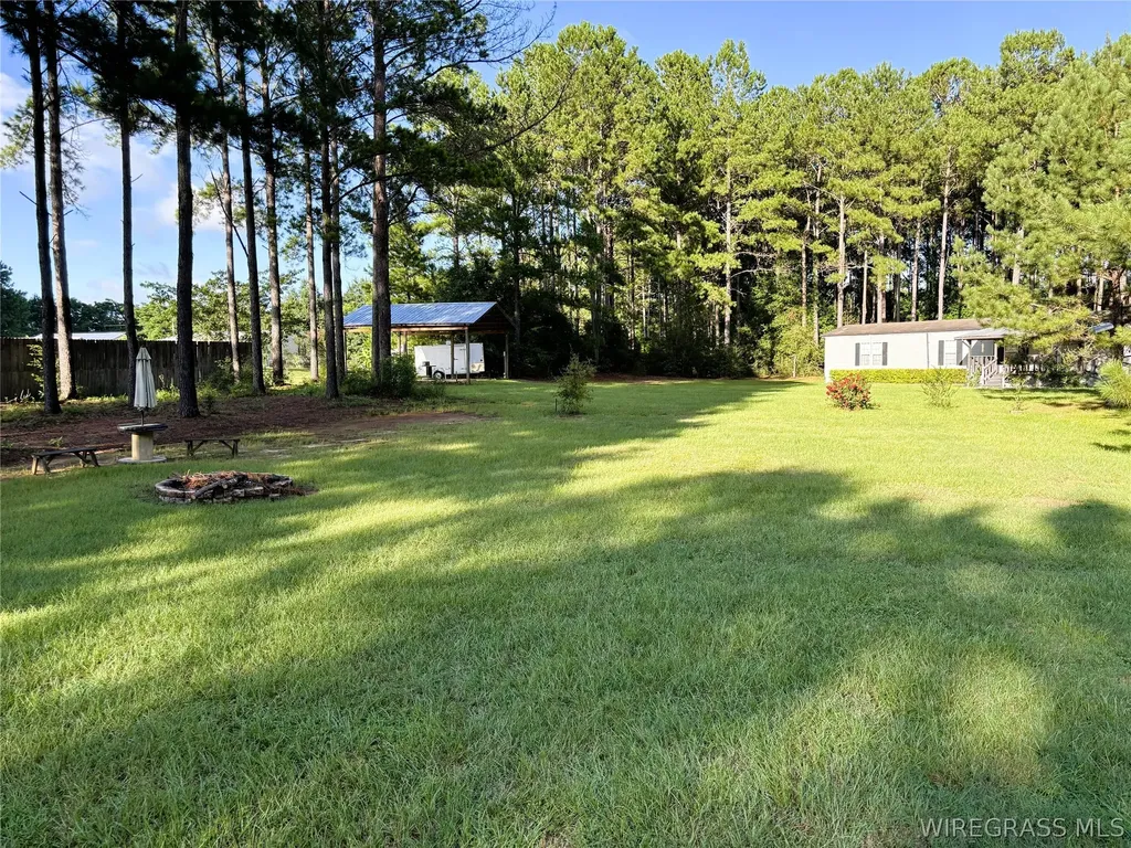 1972 County Road 430 Elba AL 36323