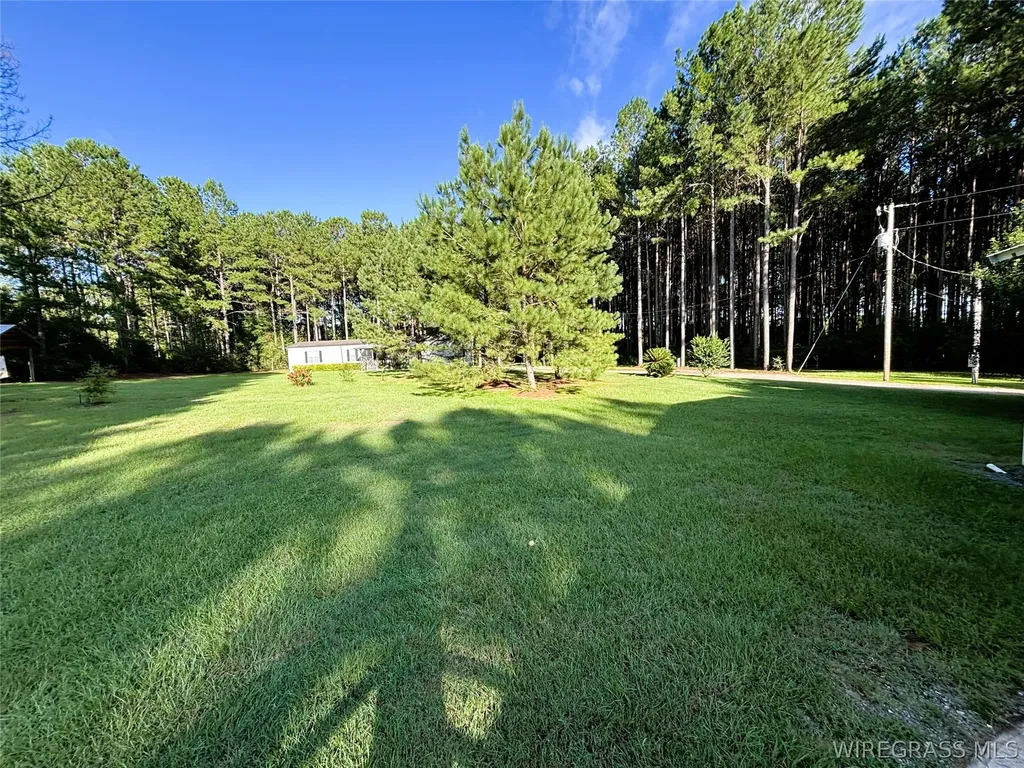 1972 County Road 430 Elba AL 36323