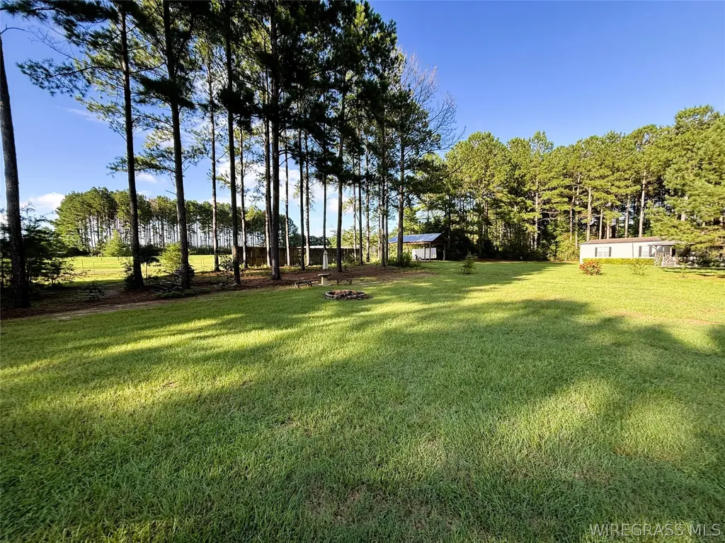 1972 County Road 430 Elba AL 36323